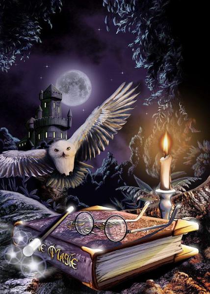 harry potter